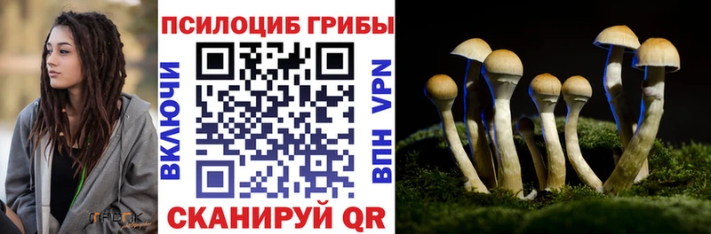 Галлюциногенные грибы мицелий  Ярославль 